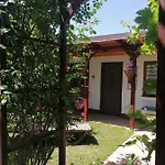 Casa Stefy Homestay *